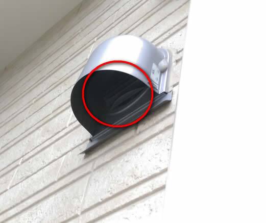 アシナガバチ注意点換気口